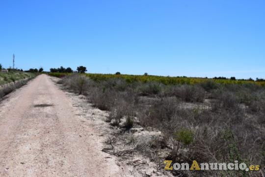 Terreno Rústico Agricola